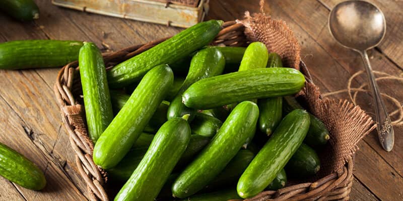 خیار قلمی کوچک مناسب بازار روز